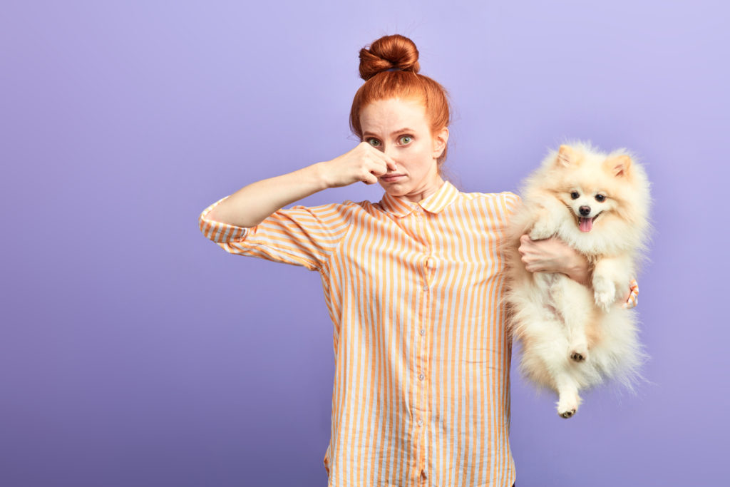 03 Which Dogs Smell The Least