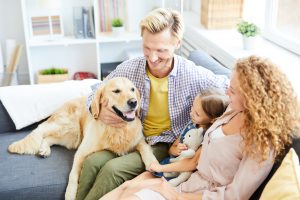 10 Things To Consider Before Getting A Labrador Retriever